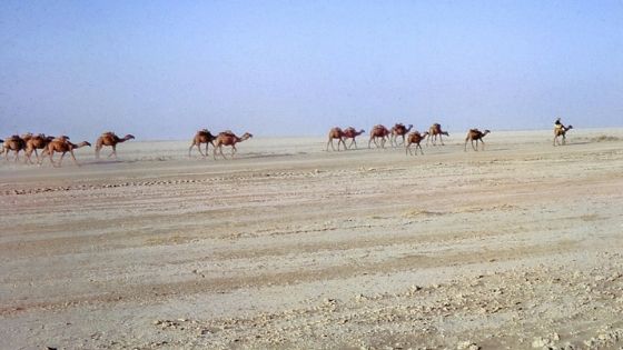 Registan Desert Information in Hindi