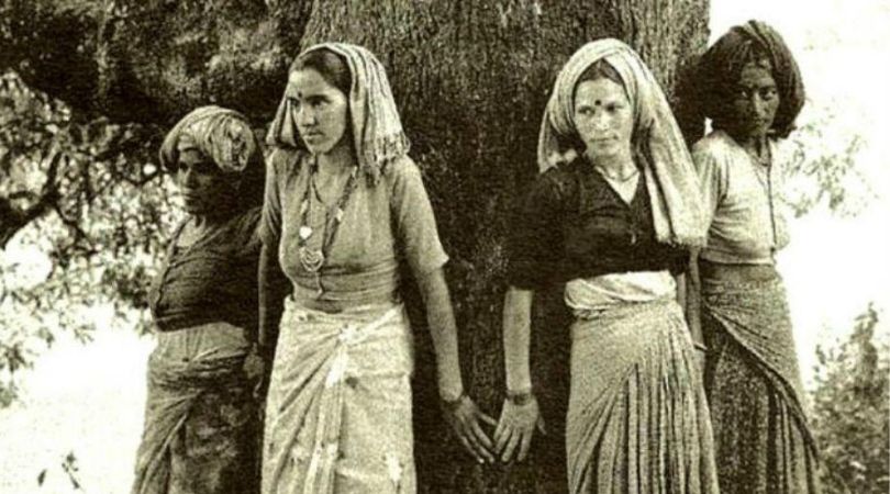 Information About Chipko Movement History in Hindi