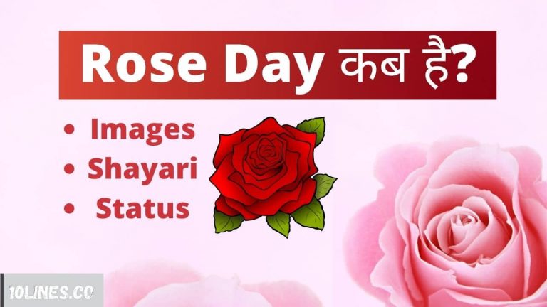 Rose Day 2022 Kab Hai: रोज डे कब है? शायरी स्टेटस, यहां पढ़ें